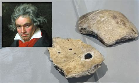 Fragments of skull believed to be Beethoven’s returned to Vienna from California for scientific analysis